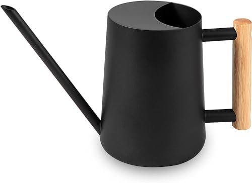 Gießkanne Zimmerpflanzen, 1000ml Metall...