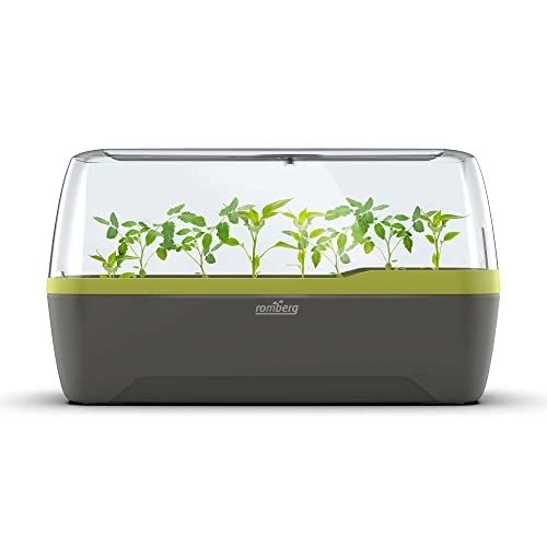 Romberg BoQube L Plus (Pflanzsystem, Farbe...