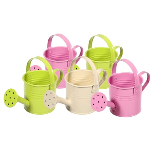 DOITOOL 5st Eisen Pflanzenkessel Blumendusche...