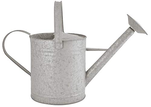 Esschert Design Altzink Gießkanne 8,7 Liter,...