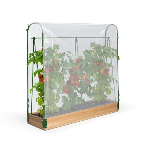 IDMarket - Spezielles Tomaten-Gewächshaus,...