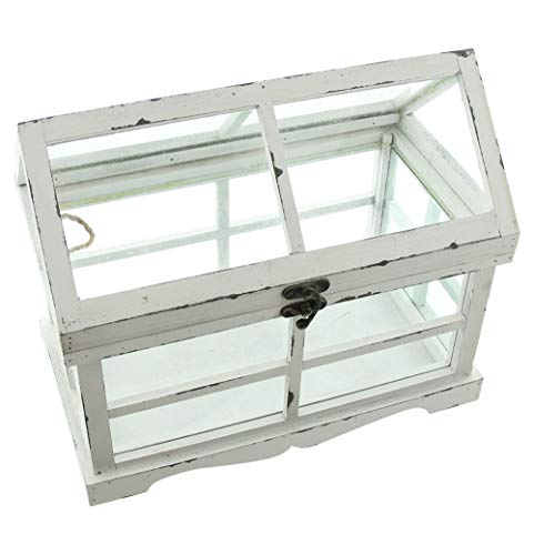 FRANK FLECHTWAREN Gewächshaus Shabby,...