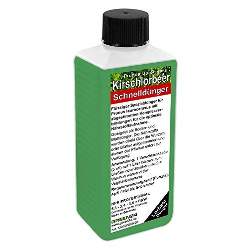 Kirschlorbeer Dünger Lorbeer düngen Prunus...