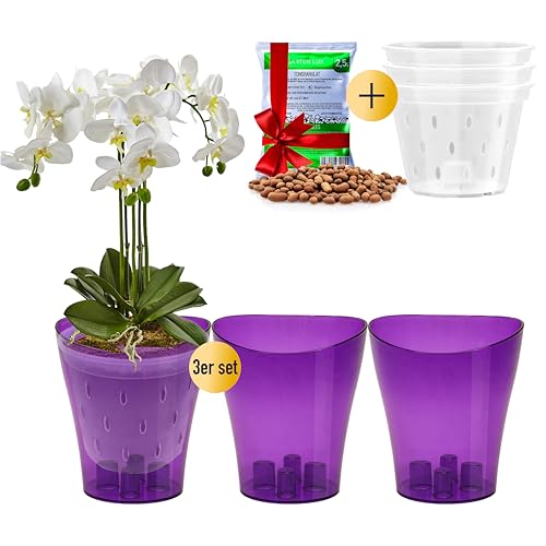 Garten lux 3er-Set Orchideentöpfe Violett...