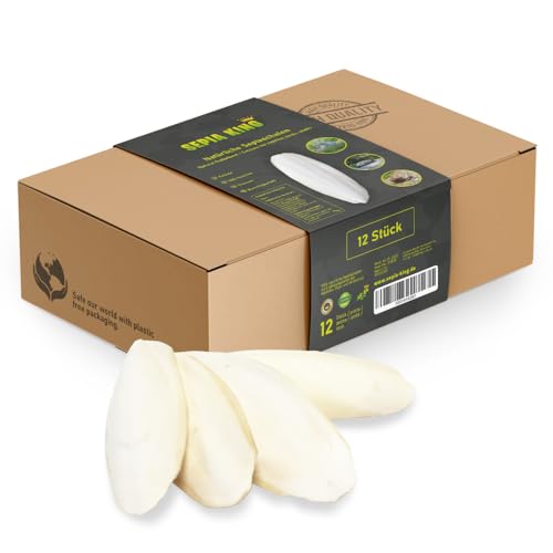 Sepia King ECO Box Sepiaschalen für...