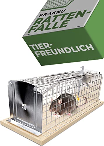 Rattenfalle Lebendfalle 30 cm Groß aus FSC®...