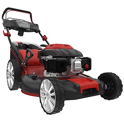 RASENMÄHER Big Wheeler 554.2 R