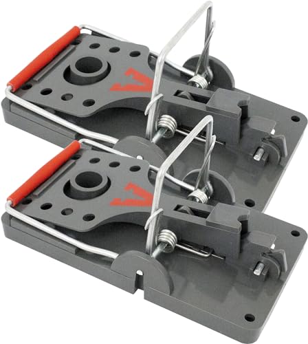 PROTECT HOME Rattenfalle Click, Innovative...