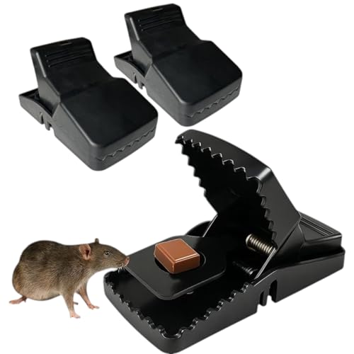 XXL Rattenfalle 21cm – 2er Pack Große...