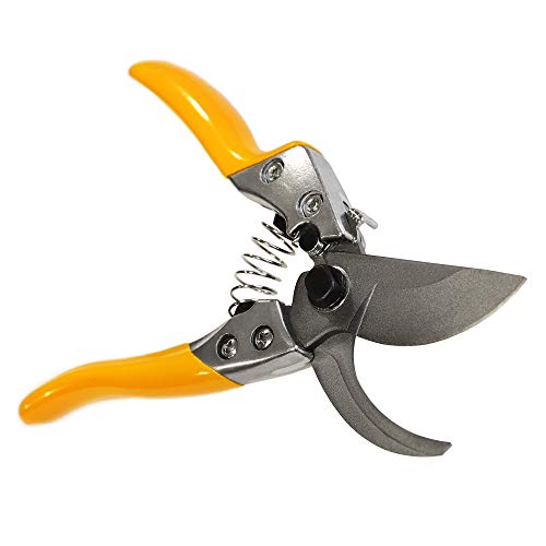 GRÜNTEK Gartenschere PHOENIX 200 mm TEFLON,...