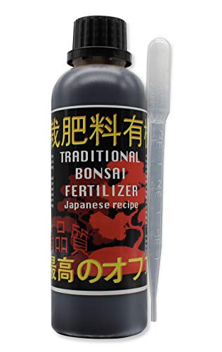 R&R SHOP Traditioneller japanischer...