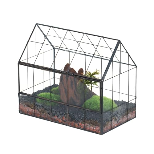 NCYP 24x14x20,6cm Glas Terrarium mit...