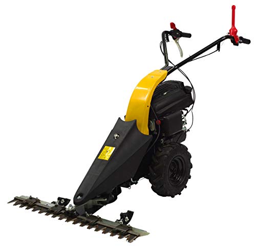 Texas Profi Benzin Balkenmäher CB8700 159ccm...