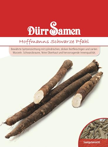 Schwarzwurzel Samen Schwarzwurzelsamen...