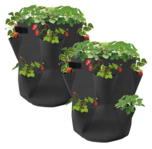 Spetebo Erdbeer Pflanzsack 2er Set aus Filz -...