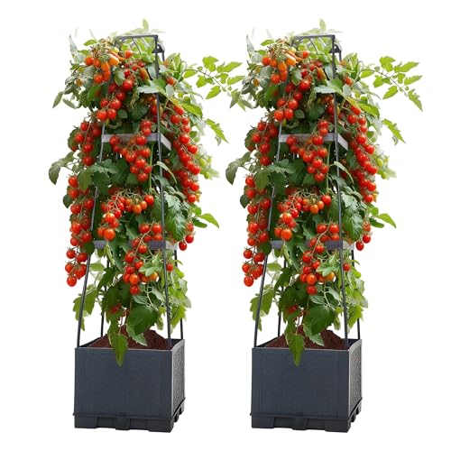 SERdeerCH 2 Pack Tomatentopf mit Rankhilfe...