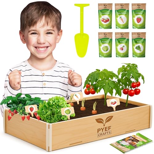 PYEF CRAFTS Mini Garten Kinder Komplettset -...