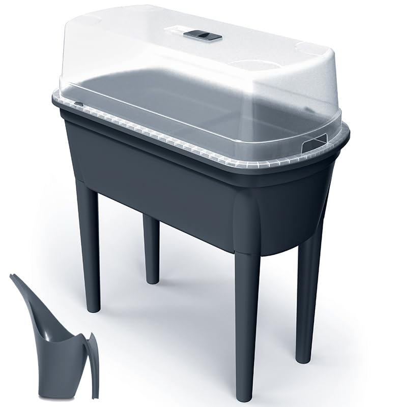 Prosperplast Hochbeet Frühbeet Bloomo mit...