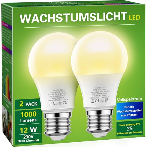 Briignite Die Glühbirne leuchtet. Eine...