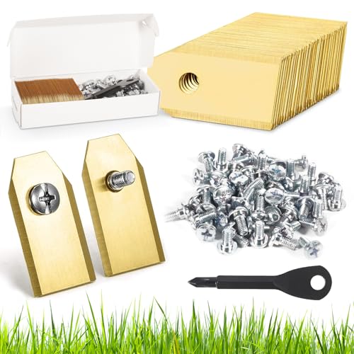 SVIPDDD 60 Stück Ersatzmesser für...