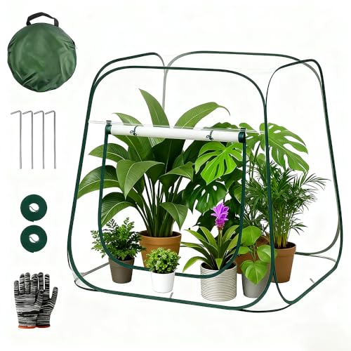 ADDLIVE Gewächshaus Klein, Pop Up...