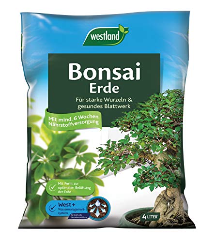 Westland Bonsai Erde, 4 l – Erde mit...
