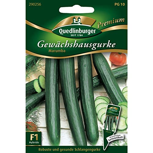 Gewächshaus-Gurke 'Marumba',1 Portion