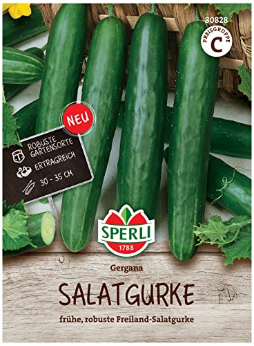 Sperli Salatgurkensamen Gergana 80828 für 35...