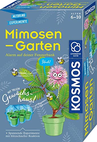 KOSMOS 657802 Mimosen-Garten, Pflanzen...