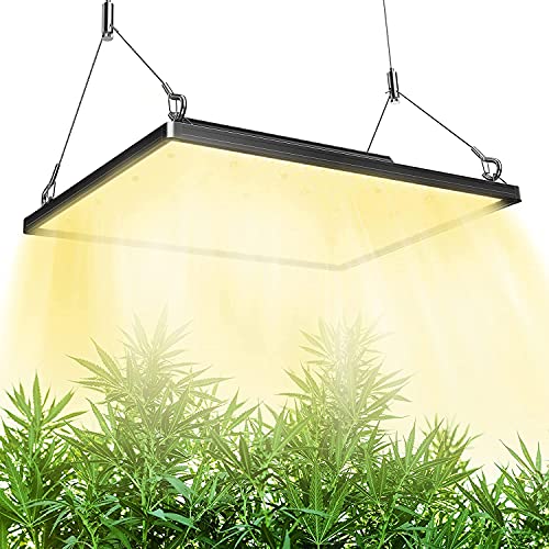 Die 19 besten Pflanzenlampen GARTENGURUS