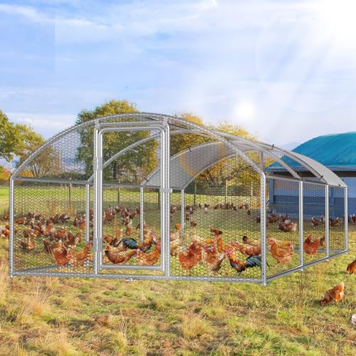 Eikuavons Hühnerstall, 3x6x2m Kuppel Dach...