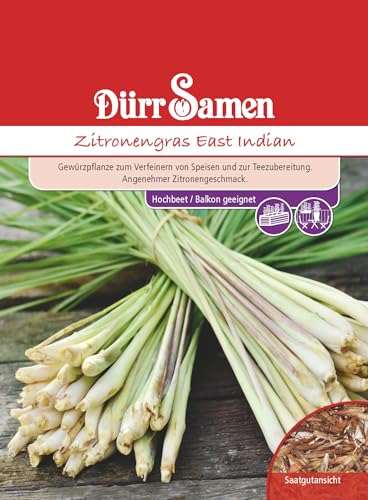 Zitronengras Samen East Indian...