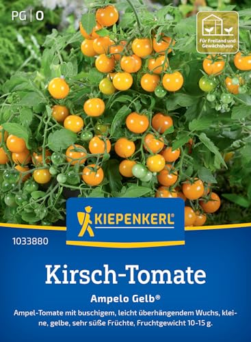 Kiepenkerl Kirsch-Tomatensamen Ampelo Gelb®...