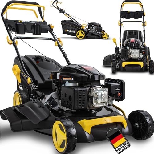 Die 11 besten Rasenmäher mit Elektrostart