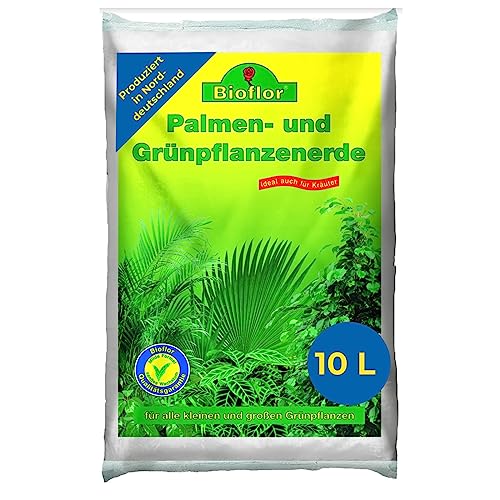 Bioflor Palmen & Grünpflanzenerde Premium 10...