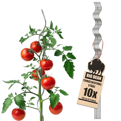 BigDean 10 Tomatenspiralstäbe 110cm voll...