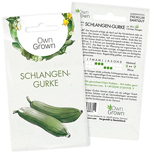 Schlangengurken Samen: 20 Gurken Samen für...