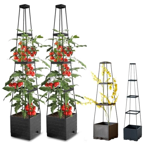 Tomaten Rankhilfe Obelisk mit Blumenkasten, 2...