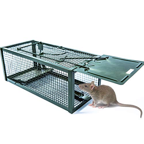 Lebend rattenfalle - Die ausgezeichnetesten Lebend rattenfalle ausführlich analysiert