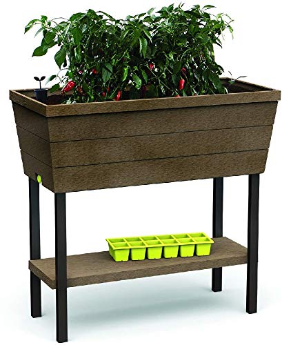 Keter Urban Bloomer Hochbeet für Balkon mit...