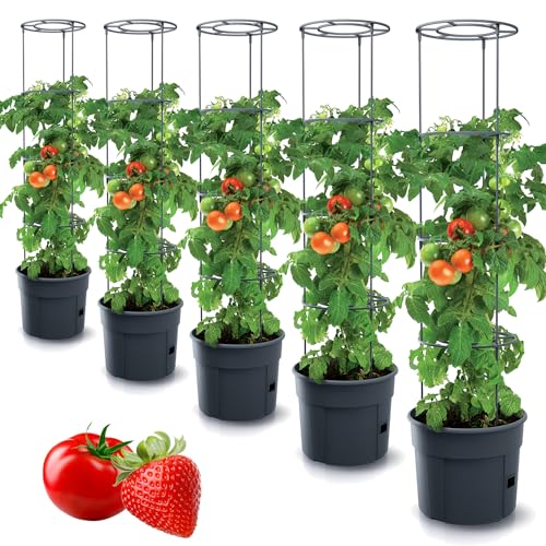 Tymar Tomatentopf, Tomatenkübel,...