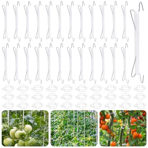 HGRGHH Tomatenhaken mit Schnur, 25 Stück...