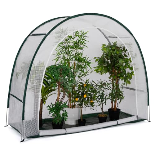 IDMarket - Halbmond-Gewächshaus 200 x 80 x...