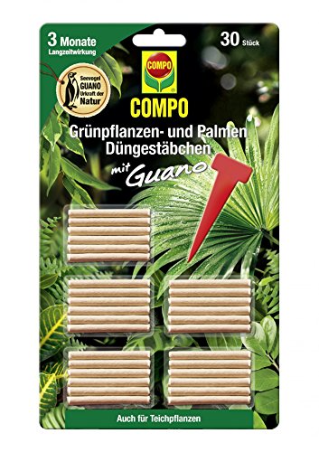 COMPO Grünpflanzen- und Palmen...