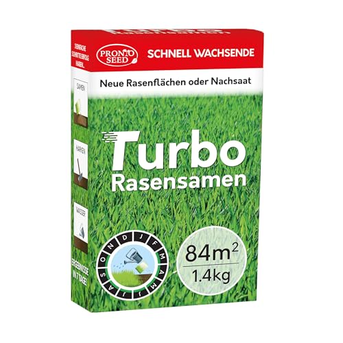 Die 7 besten Rasensamen GARTENGURUS