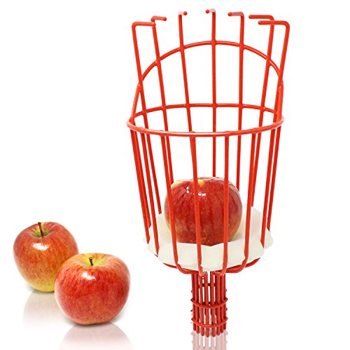 Amazy Iceberk Obstpflücker – Praktischer...