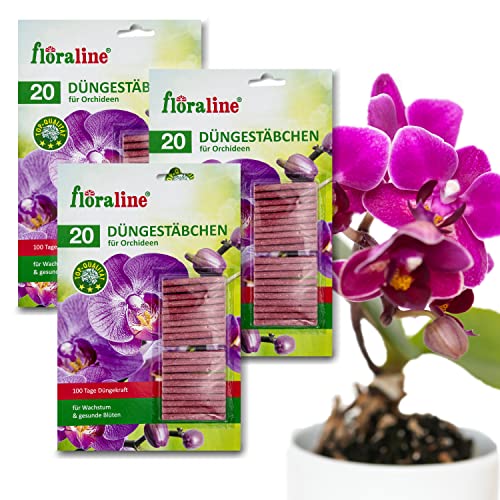 floraline® | 3er Set Orchideen -...