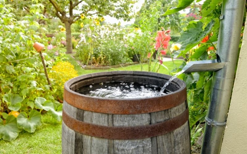 Die 9 besten Regentonnen für Gärten GARTENGURUS