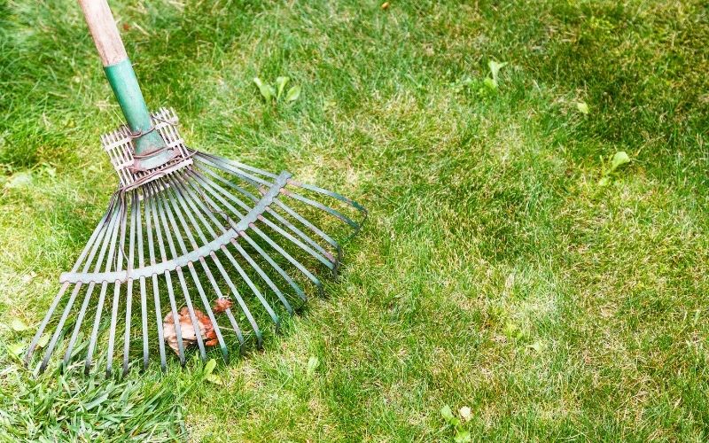 Die 9 besten Rasenrechen GARTENGURUS