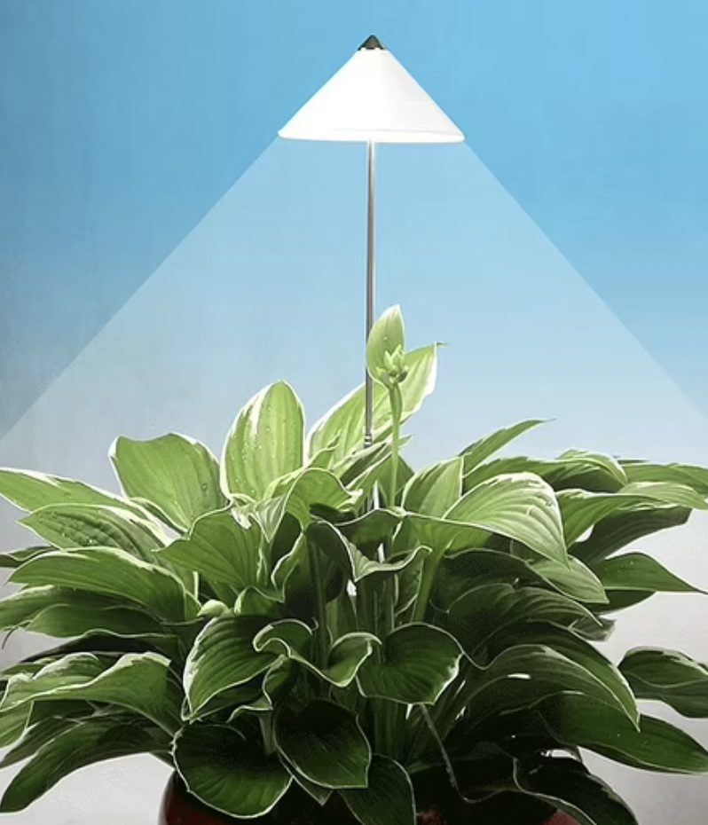 Mein schöner Garten LED Wachstumslampe fürs Zimmer 
